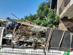 Best Property Management Cleanouts  in Wyoming, DE